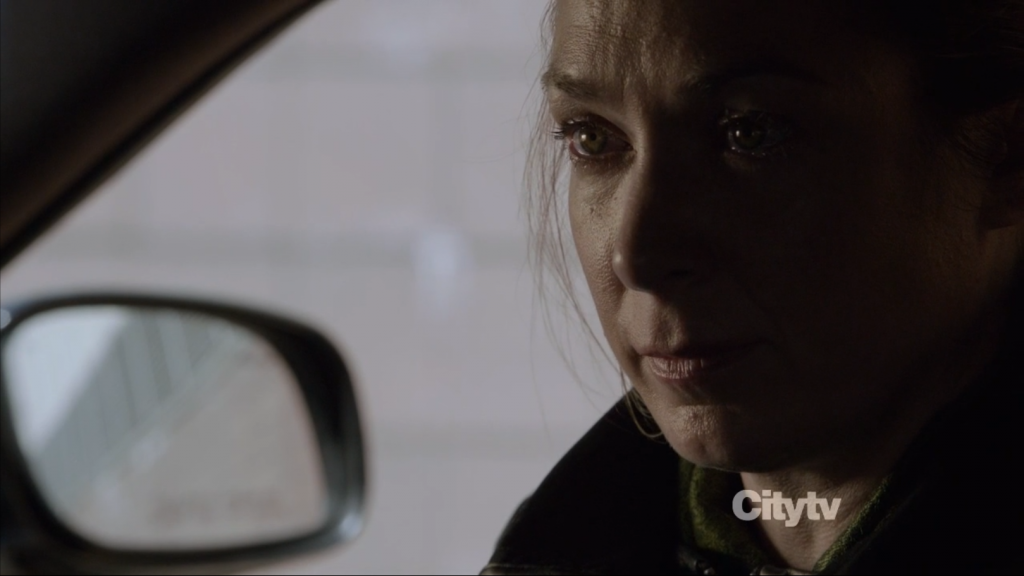 person of Interest - Elizabeth Marvel as Alicia Corwin