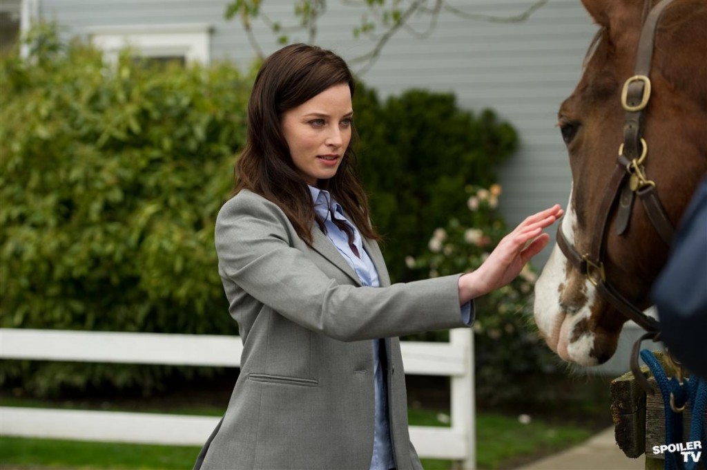 Kiera stroking a horse - Family Time - Continuum