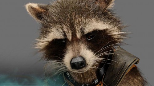 Guardians of the Galaxy Preview - Rocket Raccoon - www.scifiempire.net