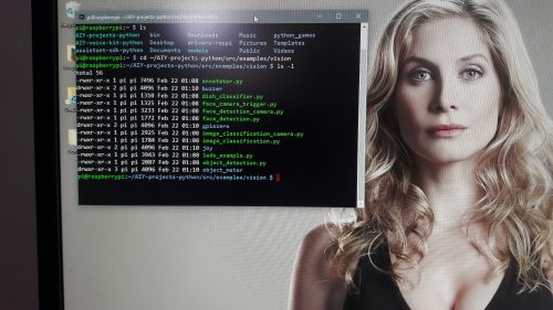 Vision Kit list of demos - Elizabeth Mitchell hot