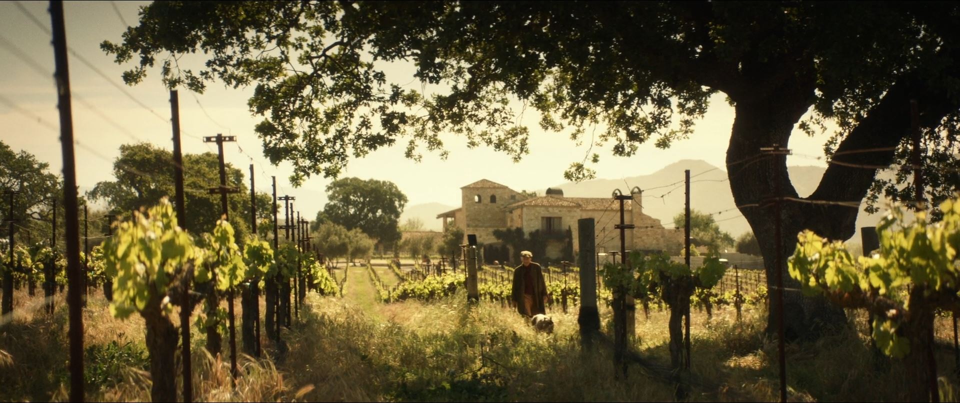 Star Trek Picard - Jean-Luc Picard on his vineyard