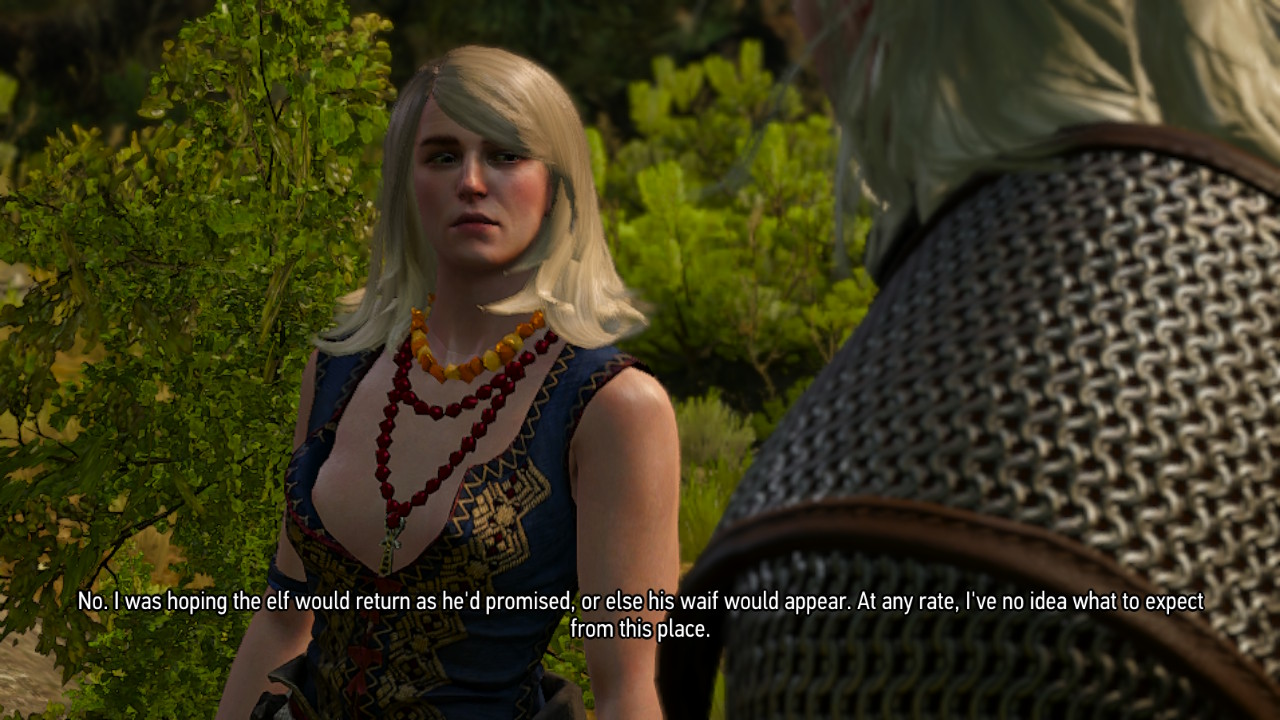 The Witcher 3 on Nintendo Switch Keira Metz