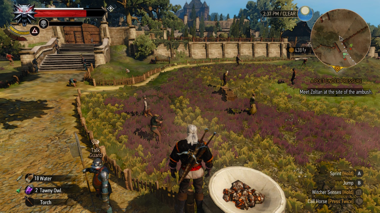 The Witcher 3 on Nintendo Switch countryside estate
