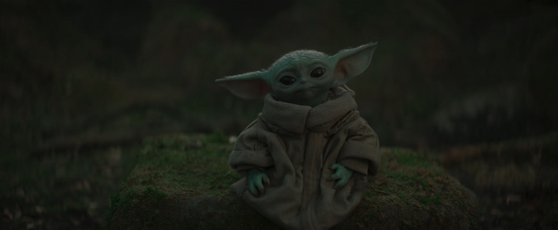 The Mandalorian The Jedi Grogu AKA Baby Yoda